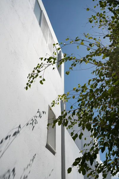 Paridian Living