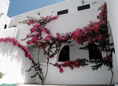 San Antonio Summer House Paros by GHH