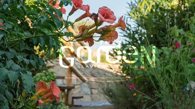 Legacy Suites Mykonos