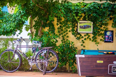 Sunflower Apartments & Studios Zakynthos