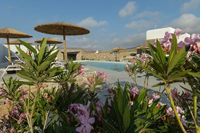 Alirene Mykonos
