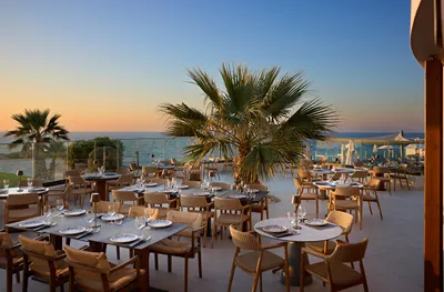 ISLA BROWN CHANIA
