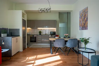 Mia Homes