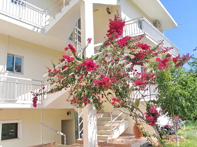 Yialos Studios Agistri