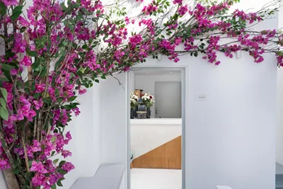 Cycladic Suites Santorini