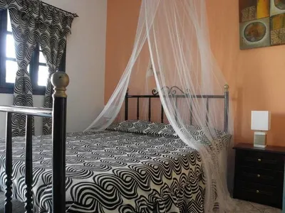 Danae Villa