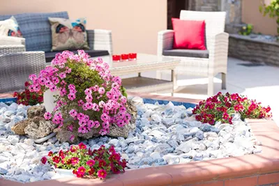 Epicentrum Suites & Villa Oasis