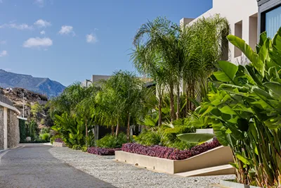 Omega Residences