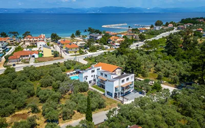Olive Roots Thassos