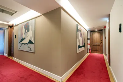 Acropolian Spirit Boutique Hotel Athens