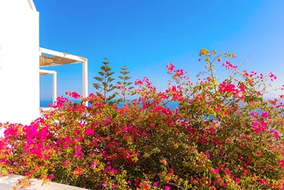 Phaos Santorini Suites