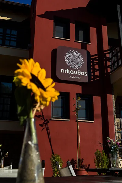 Helianthus Guesthouse