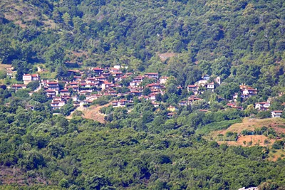 Garas Estate (Ktima Garas)