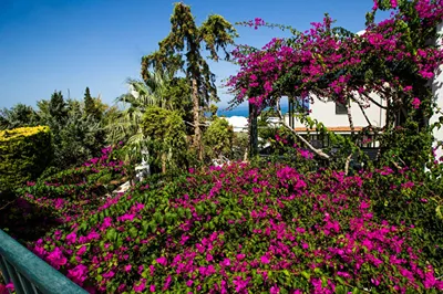 Anna Maria Village
