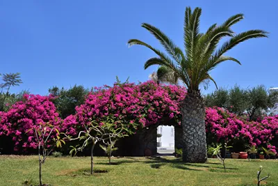 Astir of Paros Hotel