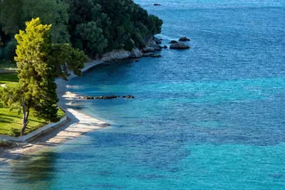 Kassandra Palace Seaside Resort