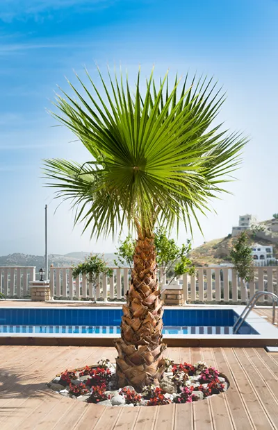 Anesis Family Villas