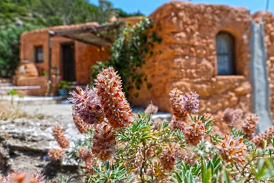 Aspros Potamos Houses