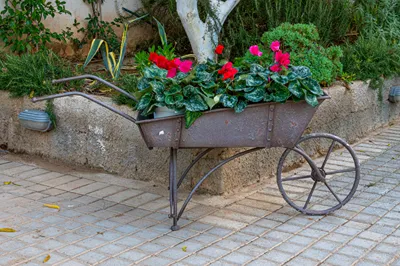 Comfort Stay Athens Airport Hotel
