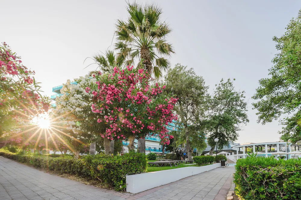 Hotel Calypso Beach