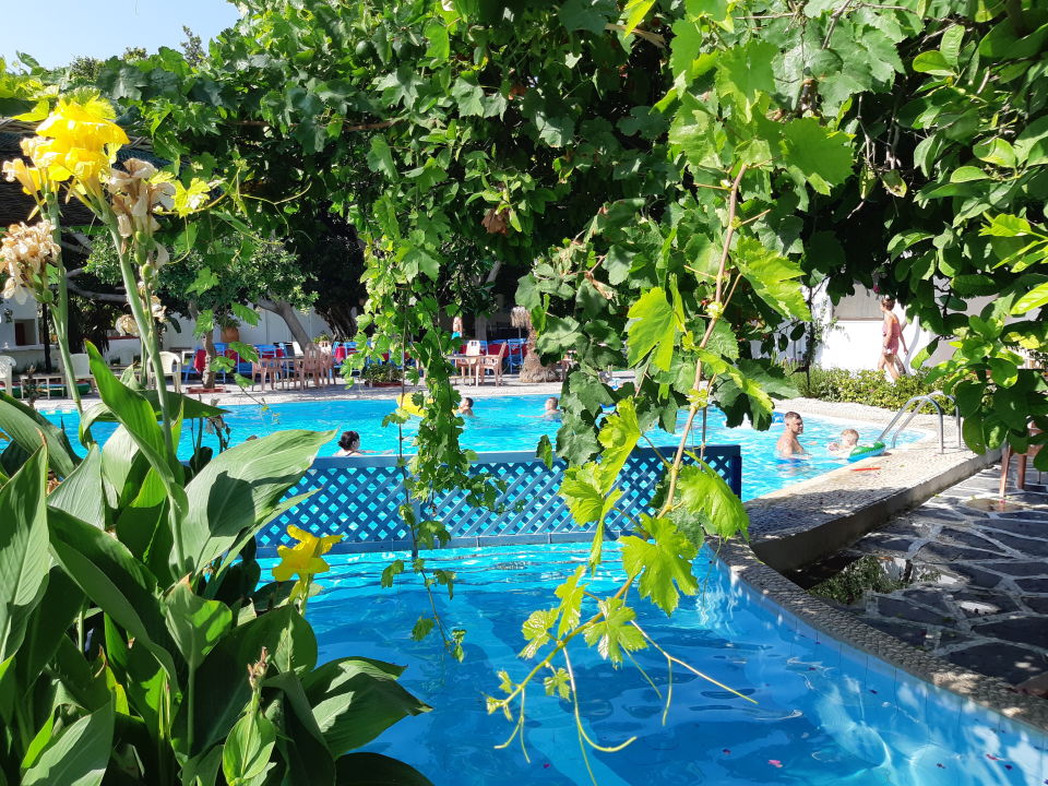 OASIS HOTEL & BUNGALOWS RHODES