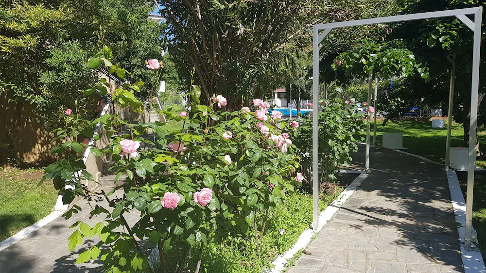 HOTEL MACEDON