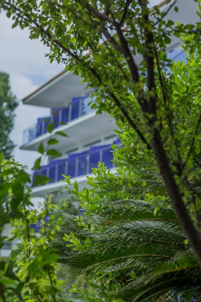 Golden Coast Hotel & Bungalows