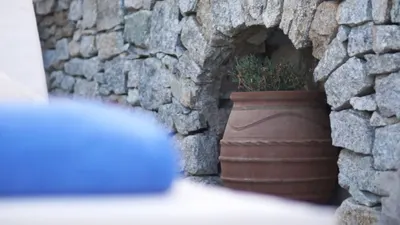 Dionysos Luxury Hotel Mykonos