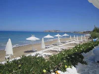 PETRADI BEACH HOTEL Hotel Brain