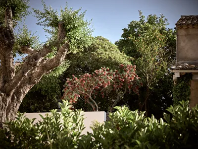 Razis Apartments