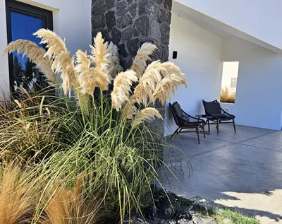 My Lithos Suites