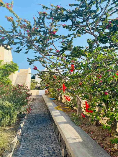 Dagris Villas Santorini