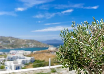 Ornos Blue Mykonos