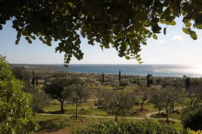 Kytherian Harmony Retreats