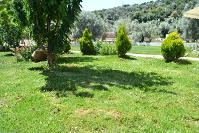 Vergina Star Lefkada