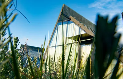 3 Hills Boutique  - The Ranch Experience