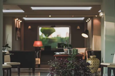 Zeus Village Resort – Adults Only