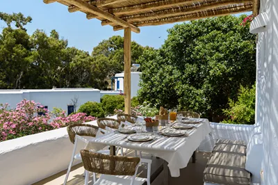 Villa Vinea Paros