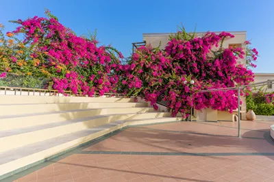 Hydramis Palace Chania