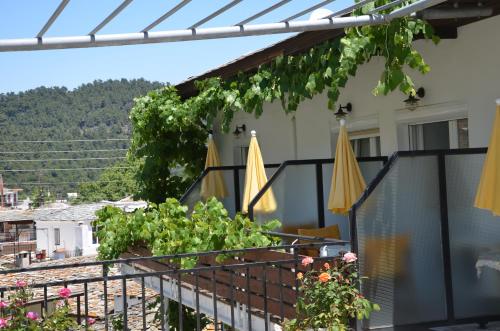 Theo Hotel