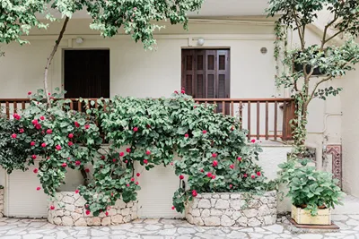 Afroditi Pansion Lefkada