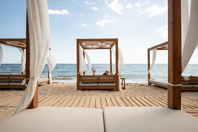 Blue Dolphin Hotel Chalkidiki