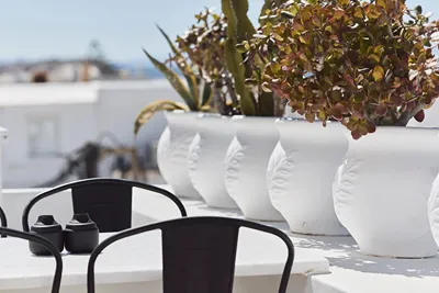 Crystal Green Suites Mykonos