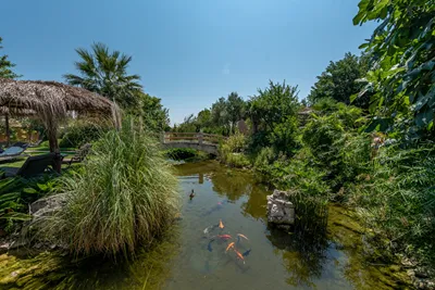 Achtis Hotel Chalkidiki