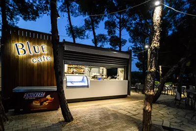 Blue Dolphin Hotel Chalkidiki