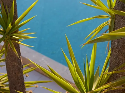 The Roc Club, A Grecotel Hotel to Live