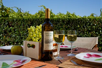 Cretan Vineyard Hill Villa