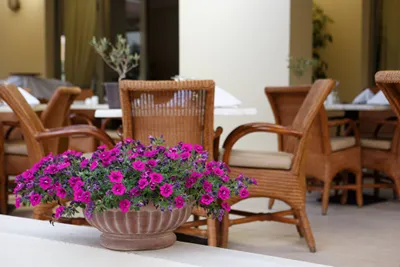 Giannoulis Santa Marina Plaza (Adults Only)