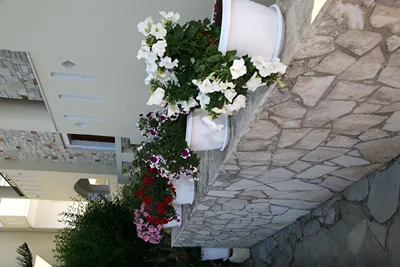 Nikos Apartments Stalis