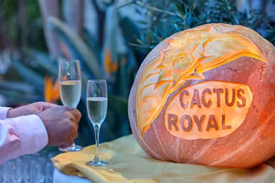 Cactus Royal Hotel
